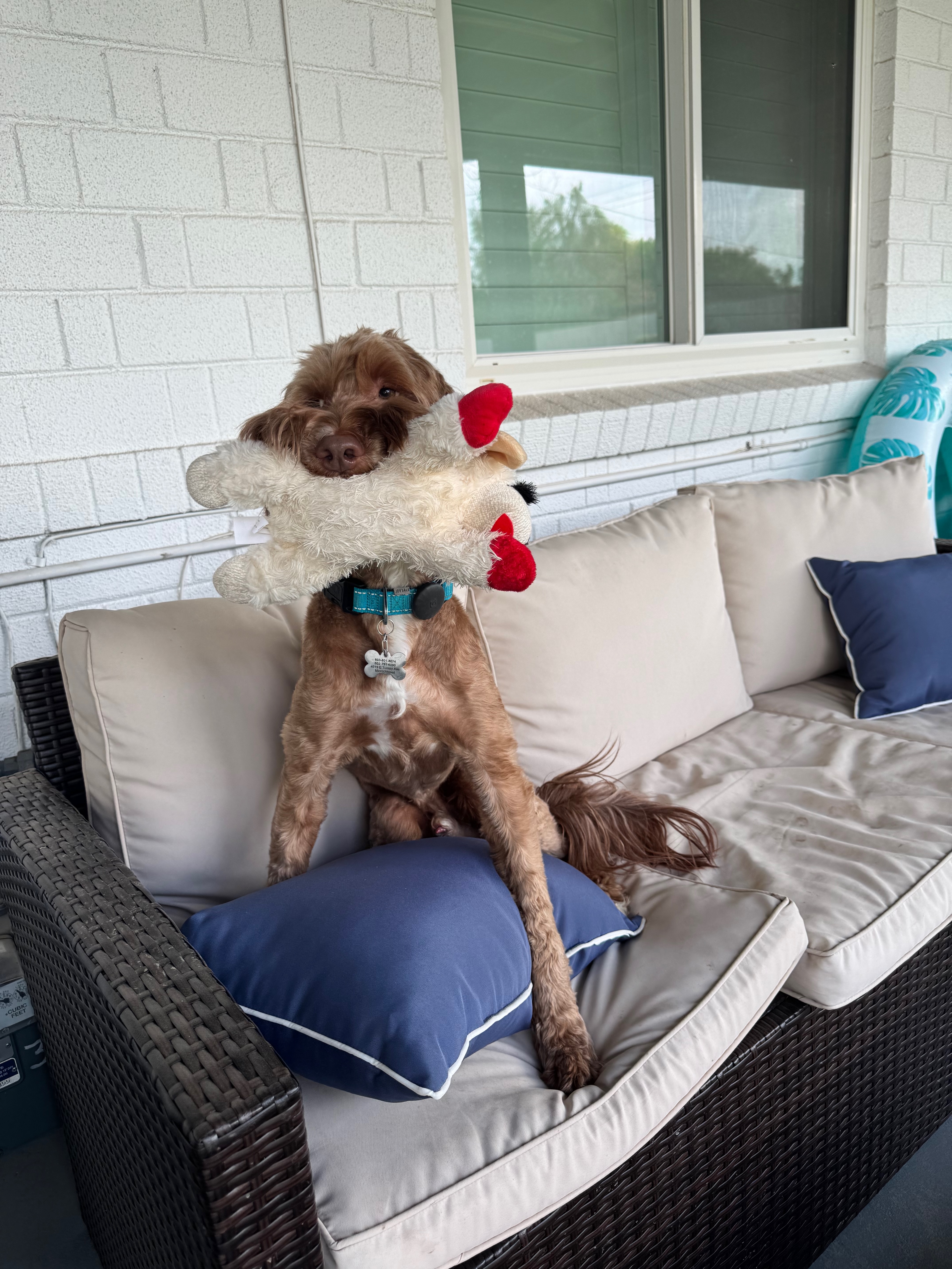 Fun time Outside